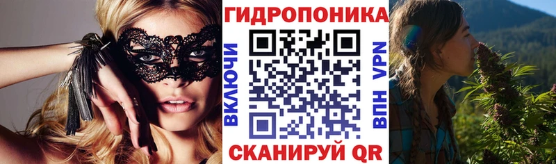 Канабис OG Kush Нижневартовск